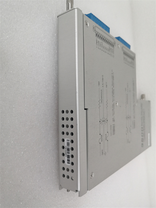 135489-04.王小松 .20210302_115133 (19)