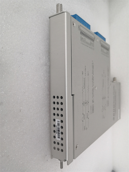 135489-04.王小松 .20210302_115133 (7)