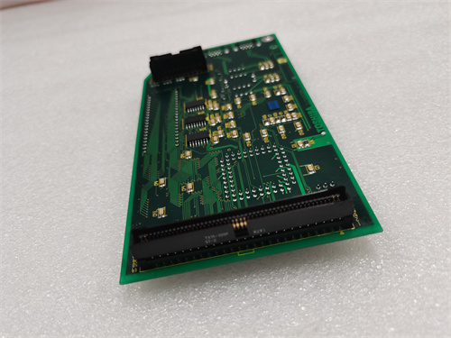 2N3A8204-B.宫泽宇.20220711_170148 (1)