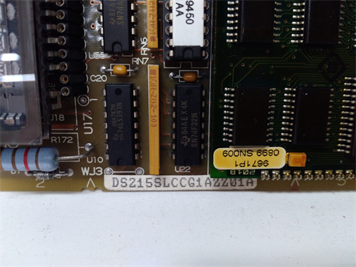 DS200SLCCG1AFG DS215SLCCG1AZZ01A (3)