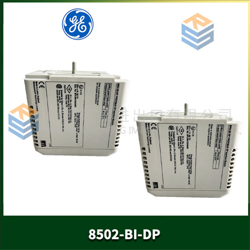 GE 8502-BI-DP (2)