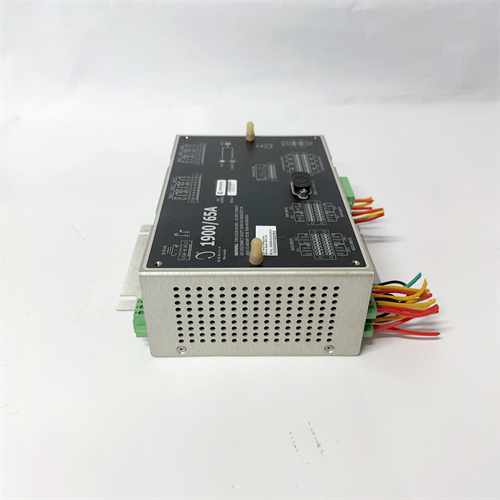 190065A-00-00-02-00-01 (4)