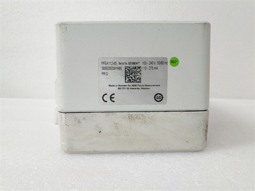 ABB PFEA112-65 3BSE050091R65 (3)