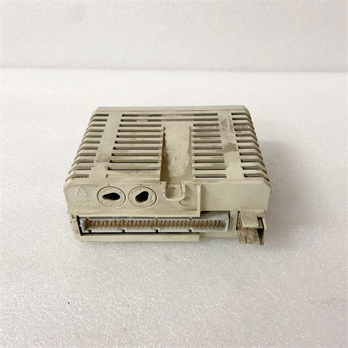 AO810 3BSE008522R1 (3)