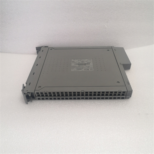 ICS TRIPLEX T8403 (2)