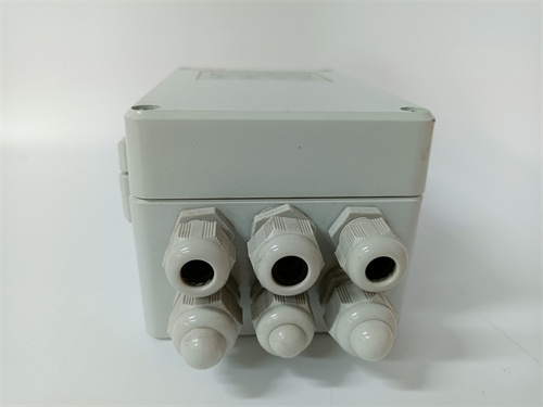 PFEA112-65 3BSE050091R65 (3)