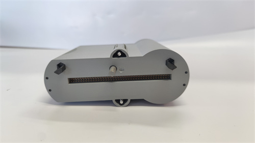 CC-PAIM01.肖仁娟.20230529_150236 (9)