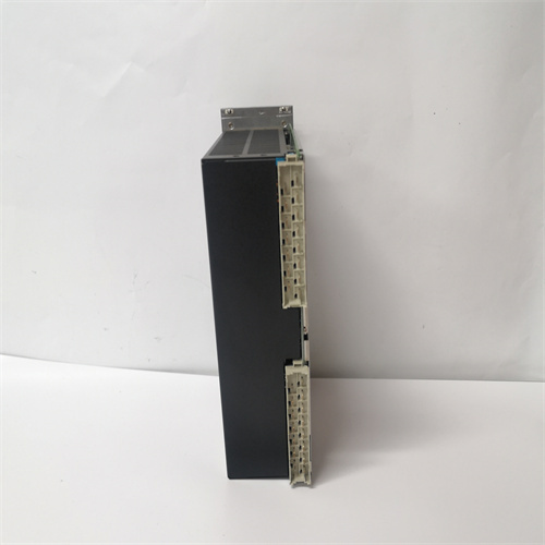 VIBRO-METER VM600 RPS6U 200-582-500-013 (3)