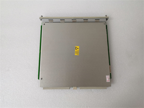 BENTLY 350022M 138607-01 (3)